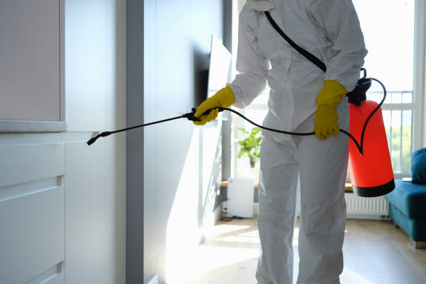 Best Professional Mold Removal  in Auburn, IL