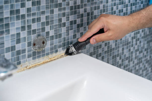 Best Mold Testing  in Auburn, IL